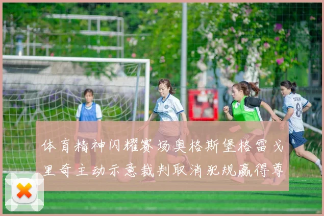 体育精神闪耀赛场奥格斯堡格雷戈里奇主动示意裁判取消犯规赢得尊重