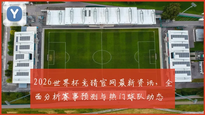 2026世界杯竞猜官网最新资讯，全面分析赛事预测与热门球队动态