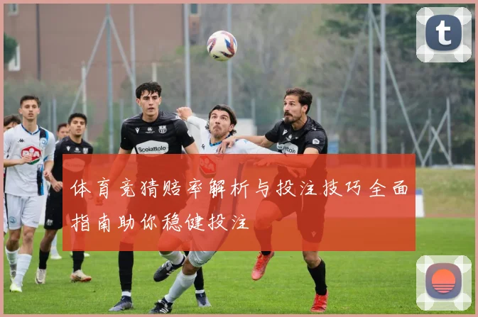 体育竞猜赔率解析与投注技巧全面指南助你稳健投注